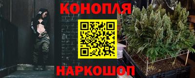 стафф Краснодар