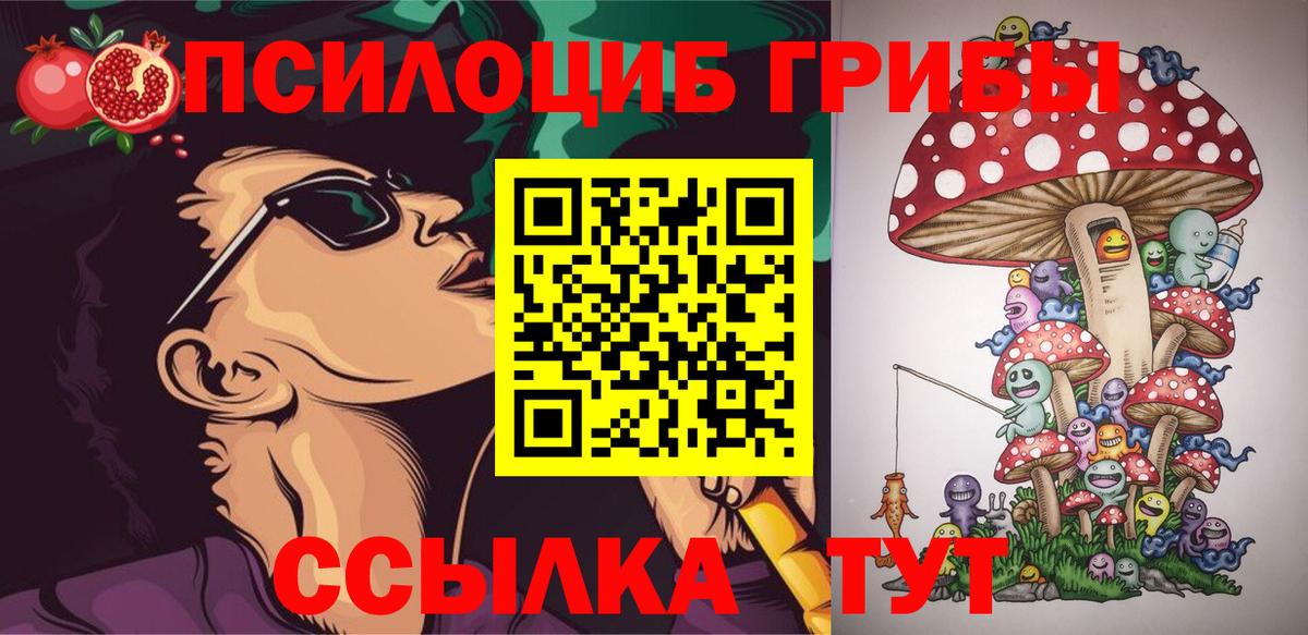 Псилоцибиновые грибы Psilocybe  Галлюциногенные грибы мицелий  Королёв  Вход с VPN 
